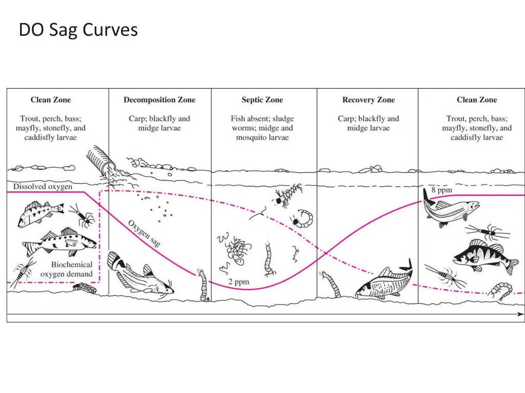 do sag curves