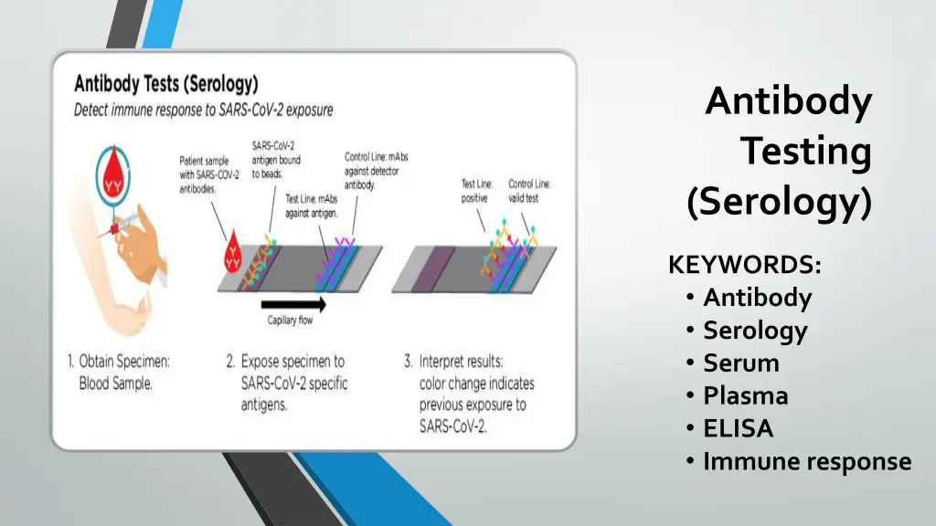 antibody testing serology