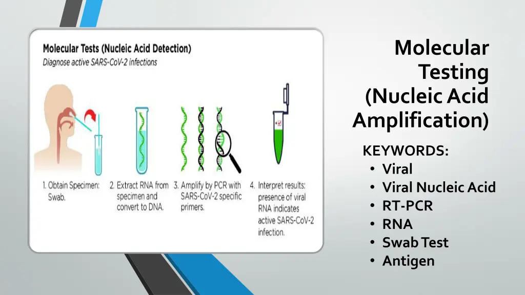 molecular testing nucleic acid amplification