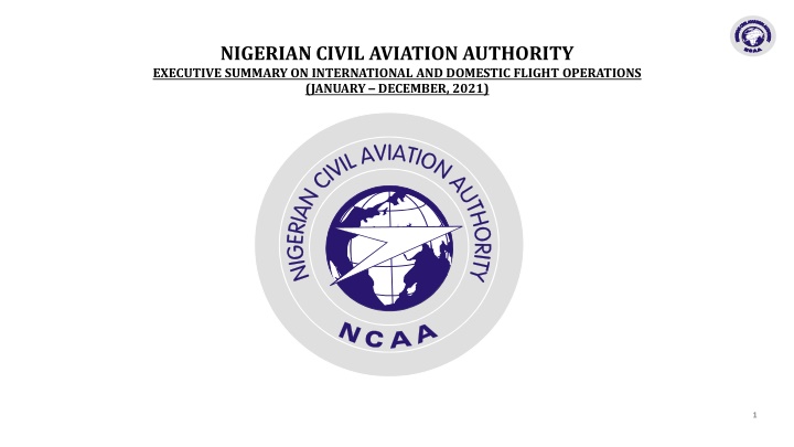 nigerian civil aviation authority executive