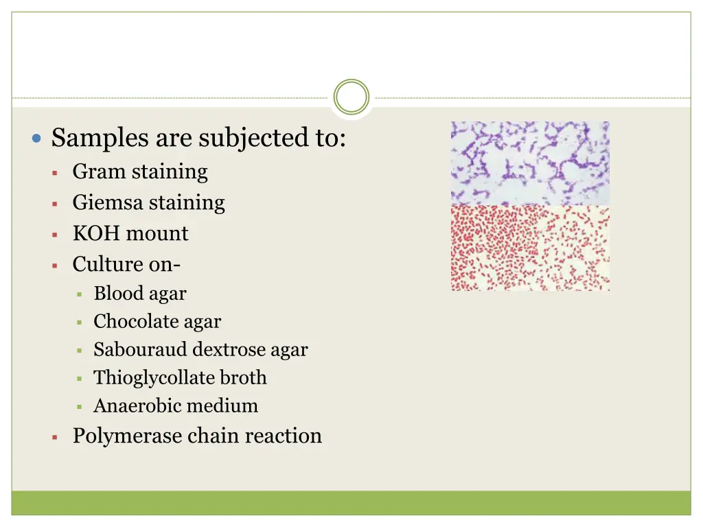 samples are subjected to gram staining giemsa