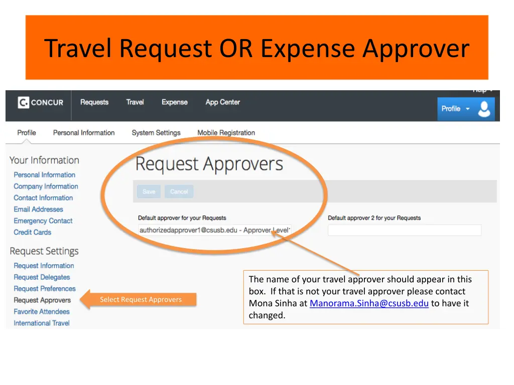 travel request or expense approver