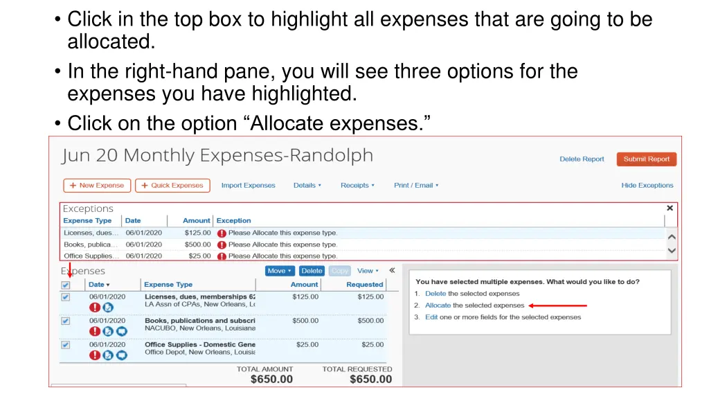 click in the top box to highlight all expenses