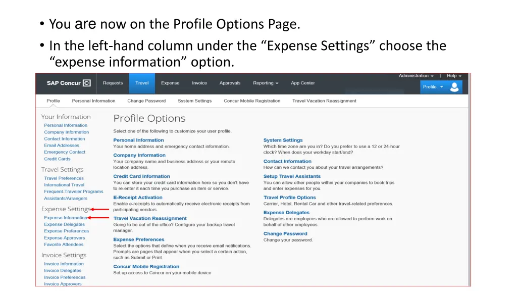 you are now on the profile options page