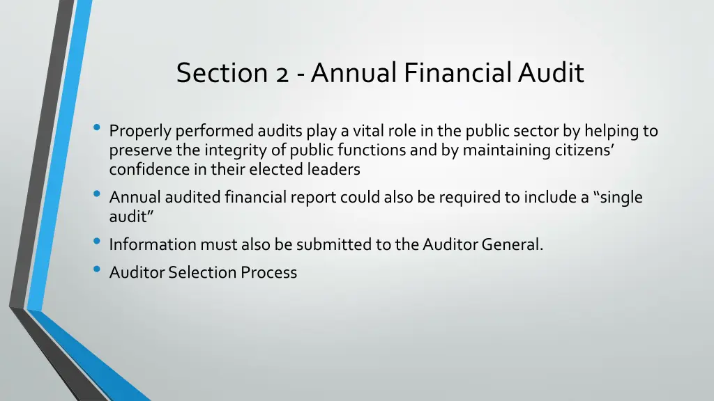 section 2 annual financial audit