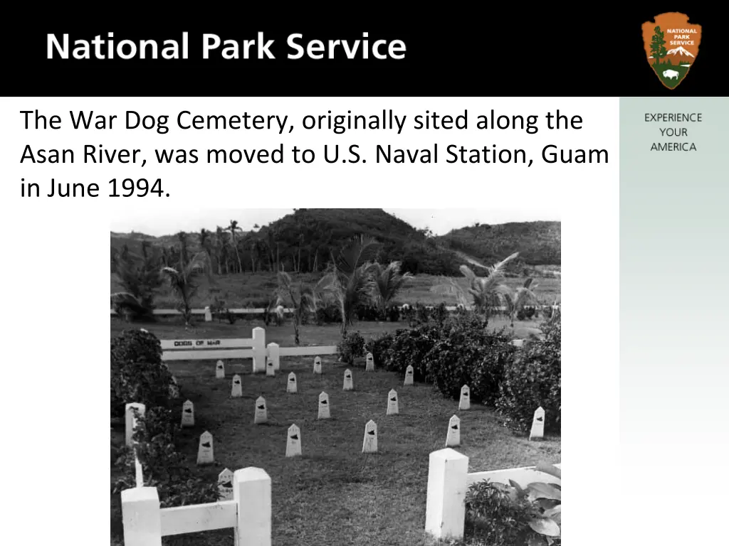 the war dog cemetery originally sited along