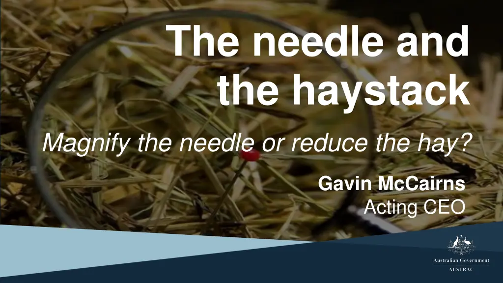 the needle and the haystack