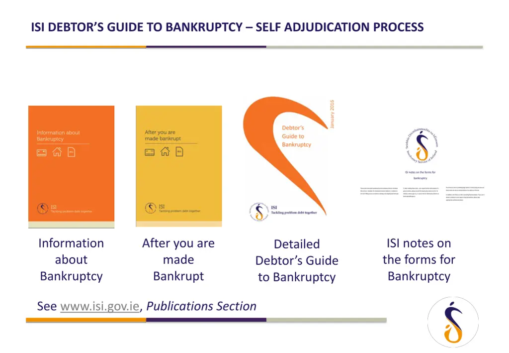 isi debtor s guide to bankruptcy self