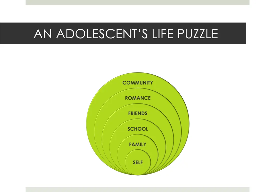 an adolescent s life puzzle