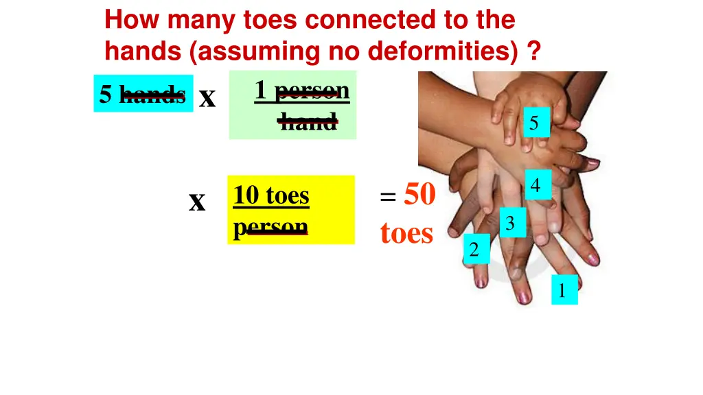 how many toes connected to the hands assuming