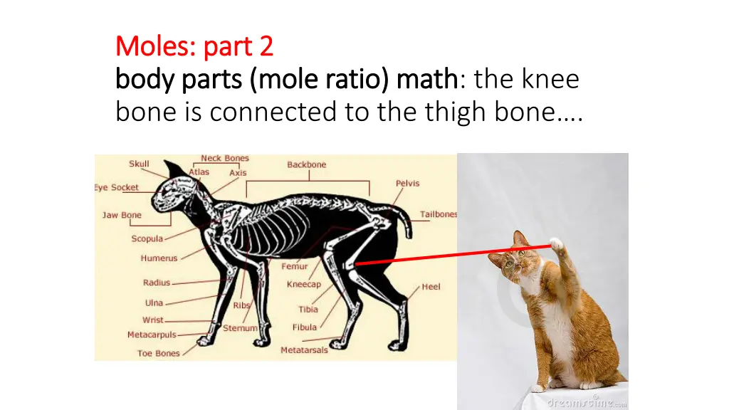 moles part 2 moles part 2 body parts mole ratio