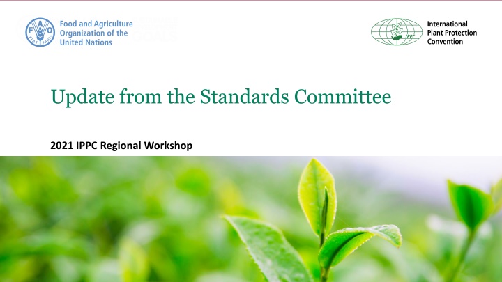 update from the standards committee