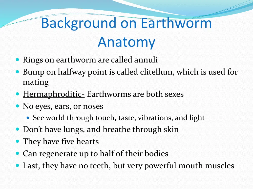 background on earthworm anatomy