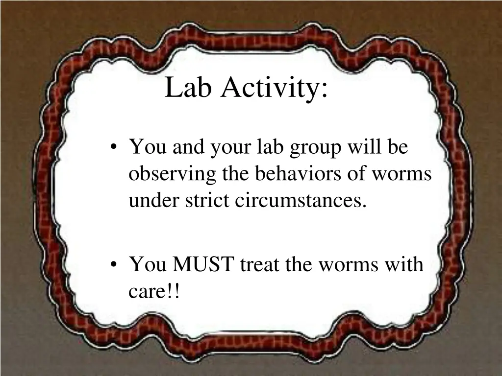 lab activity