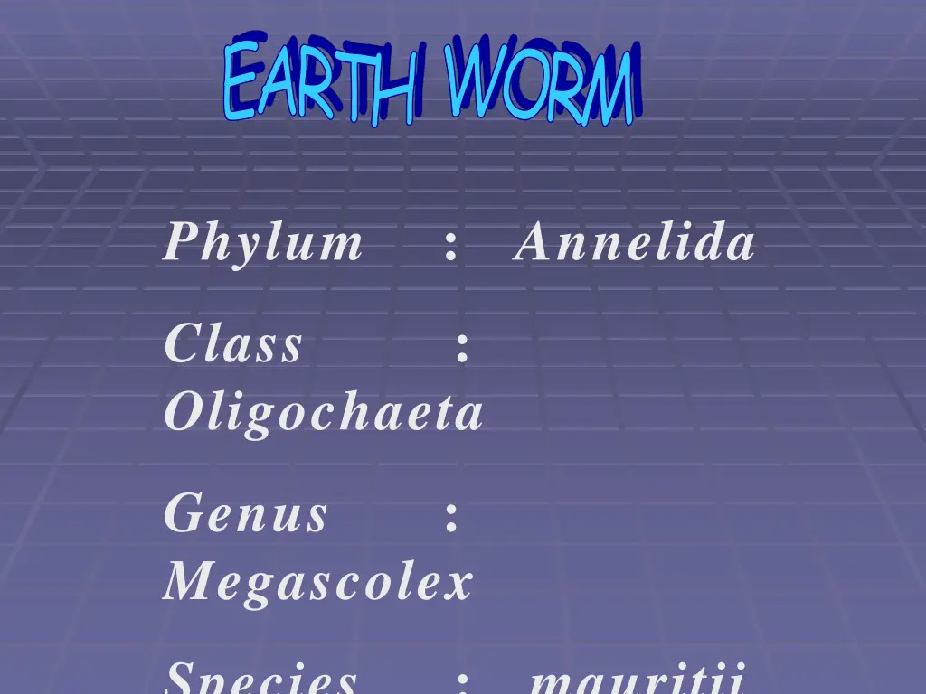 earth worm