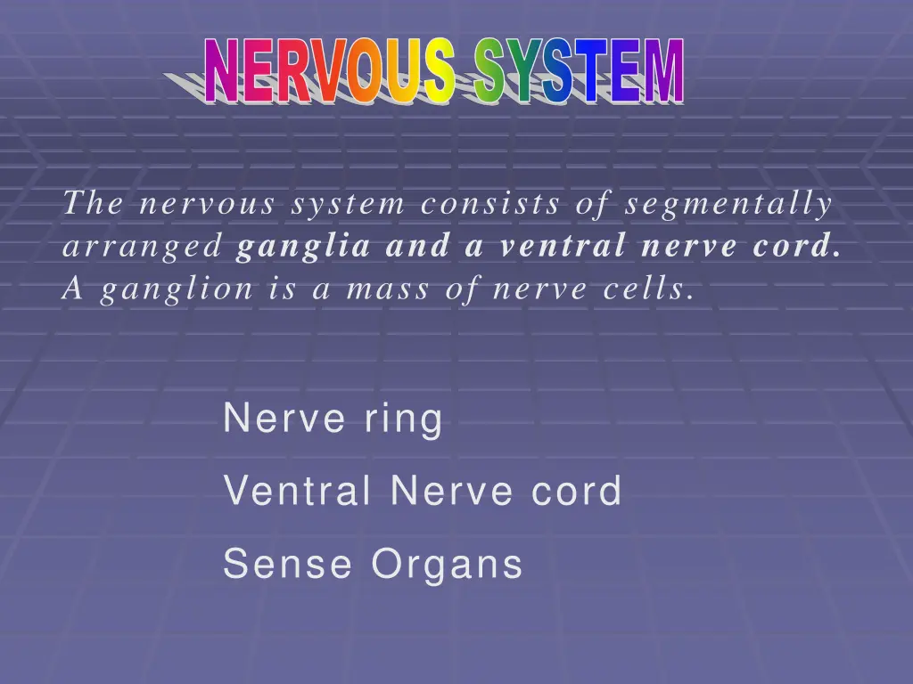 nervous system