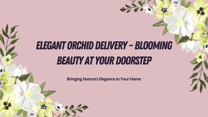 elegant orchid delivery blooming beauty at your