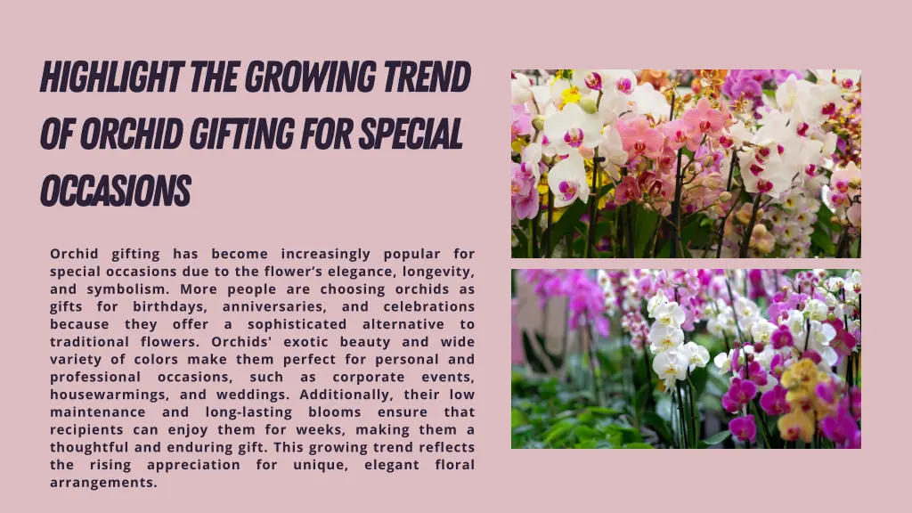 highlight the growing trend of orchid gifting