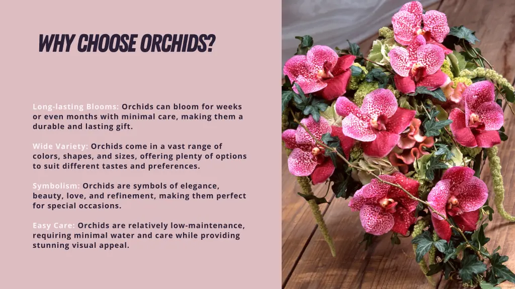 why choose orchids