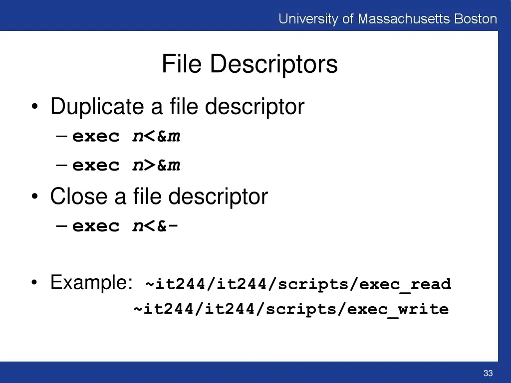 file descriptors 1