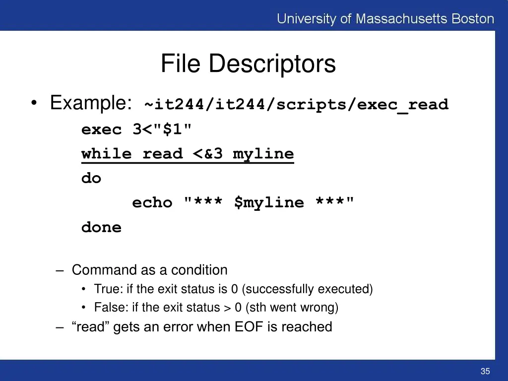 file descriptors 3