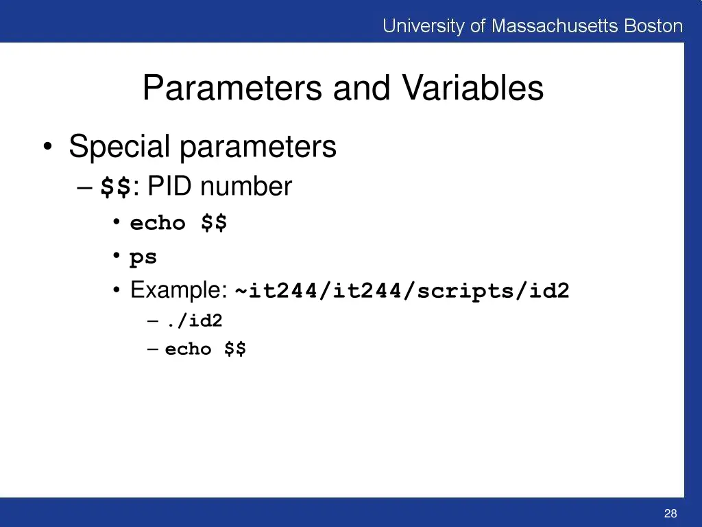 parameters and variables 1