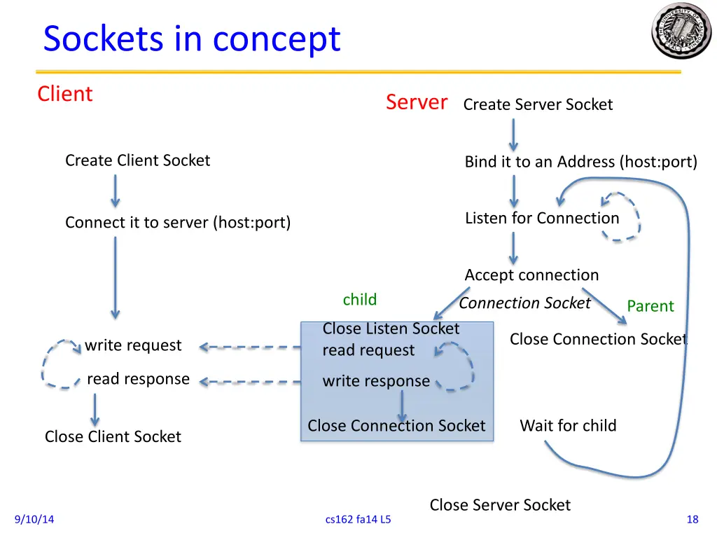 sockets in concept 1