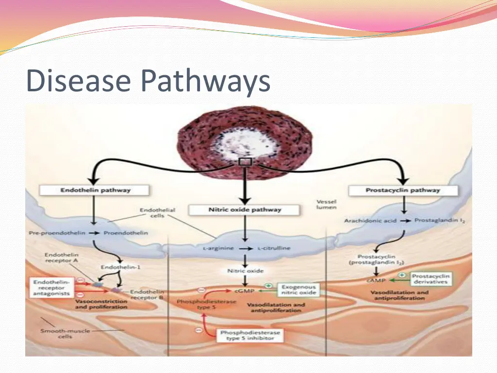 disease pathways