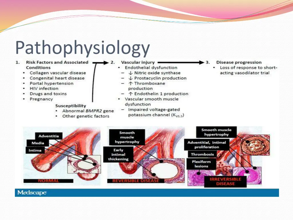 pathophysiology