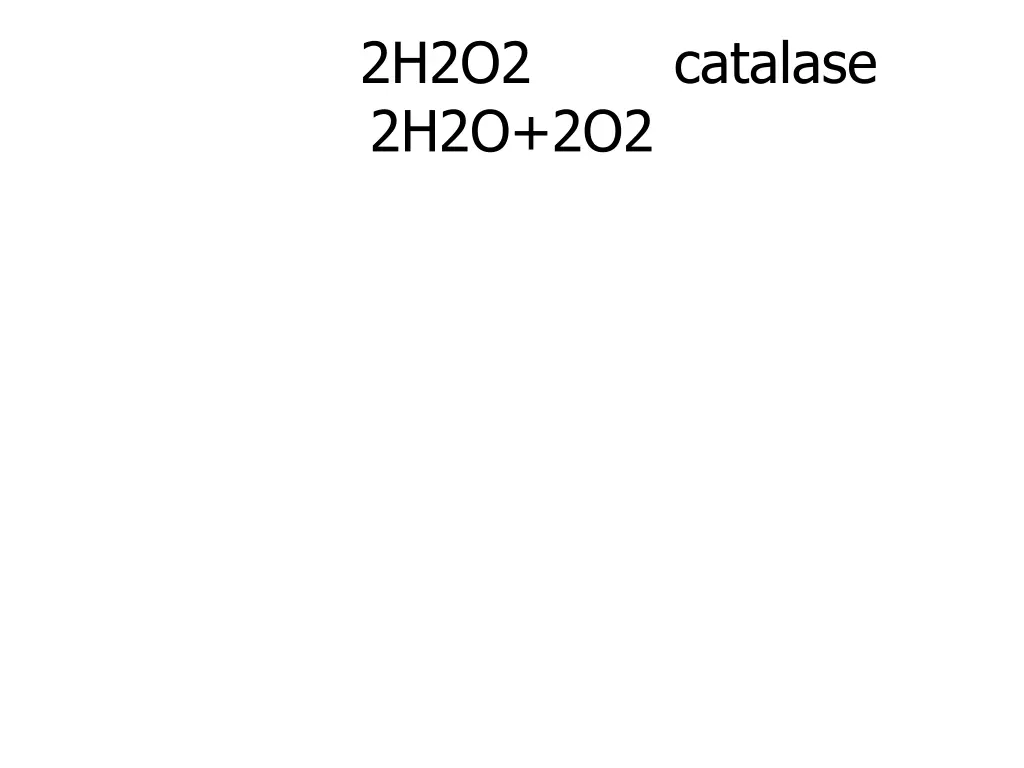 2h2o2 catalase 2h2o 2o2