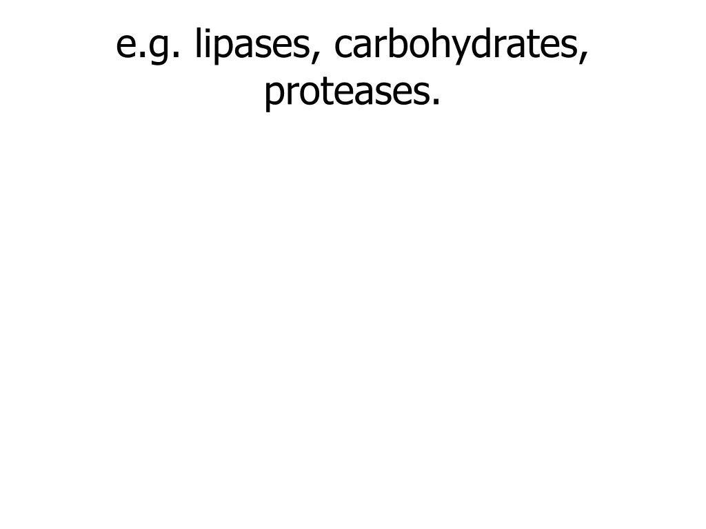 e g lipases carbohydrates proteases