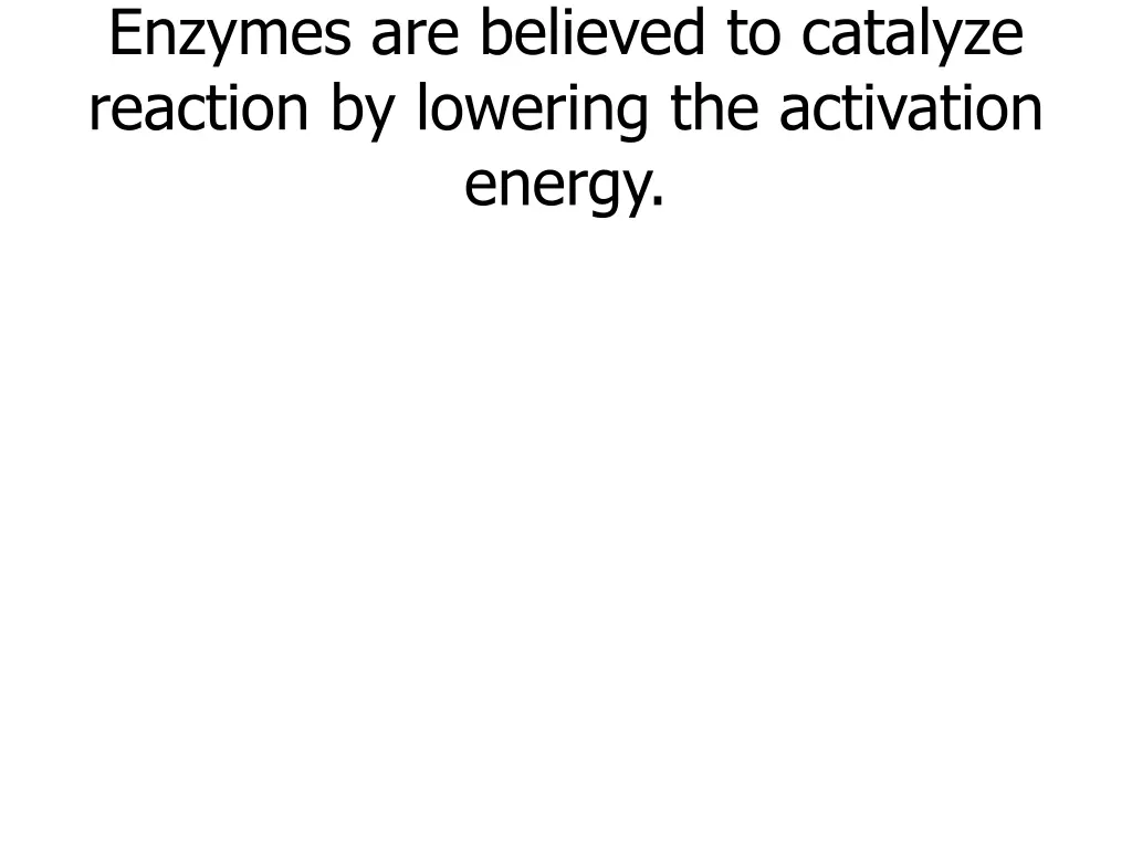 enzymes are believed to catalyze reaction