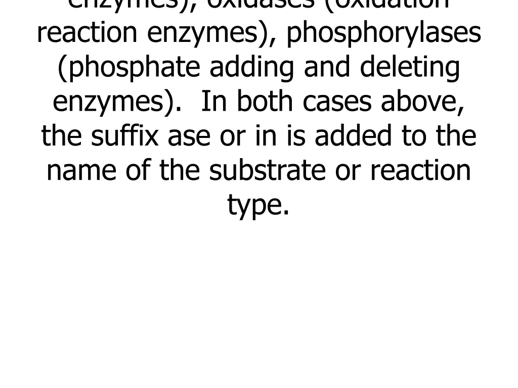 enzymes oxidases oxidation reaction enzymes