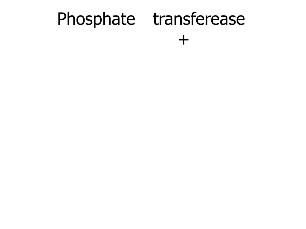 phosphate 1