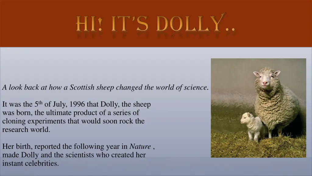 a look back at how a scottish sheep changed