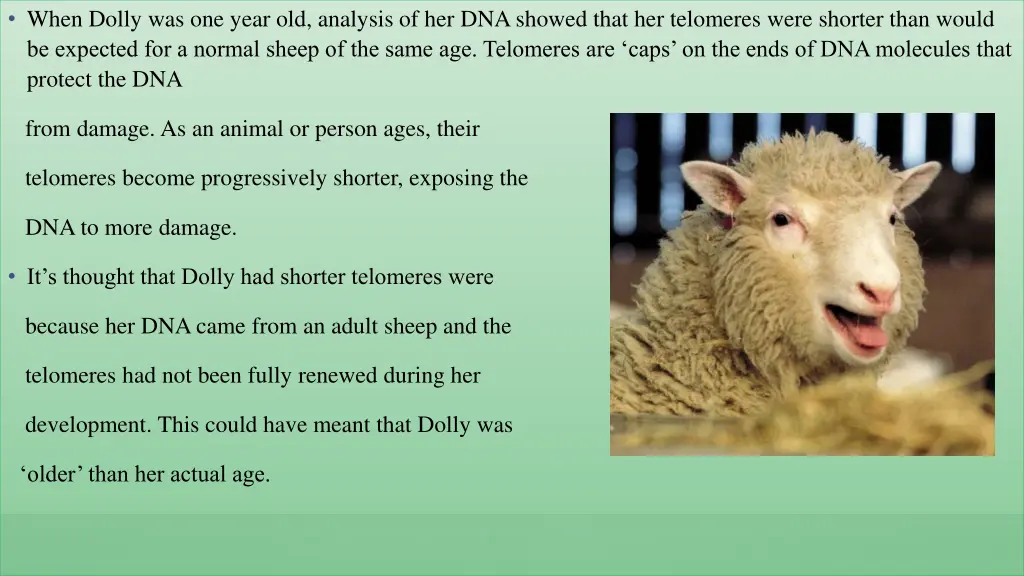 when dolly was one year old analysis