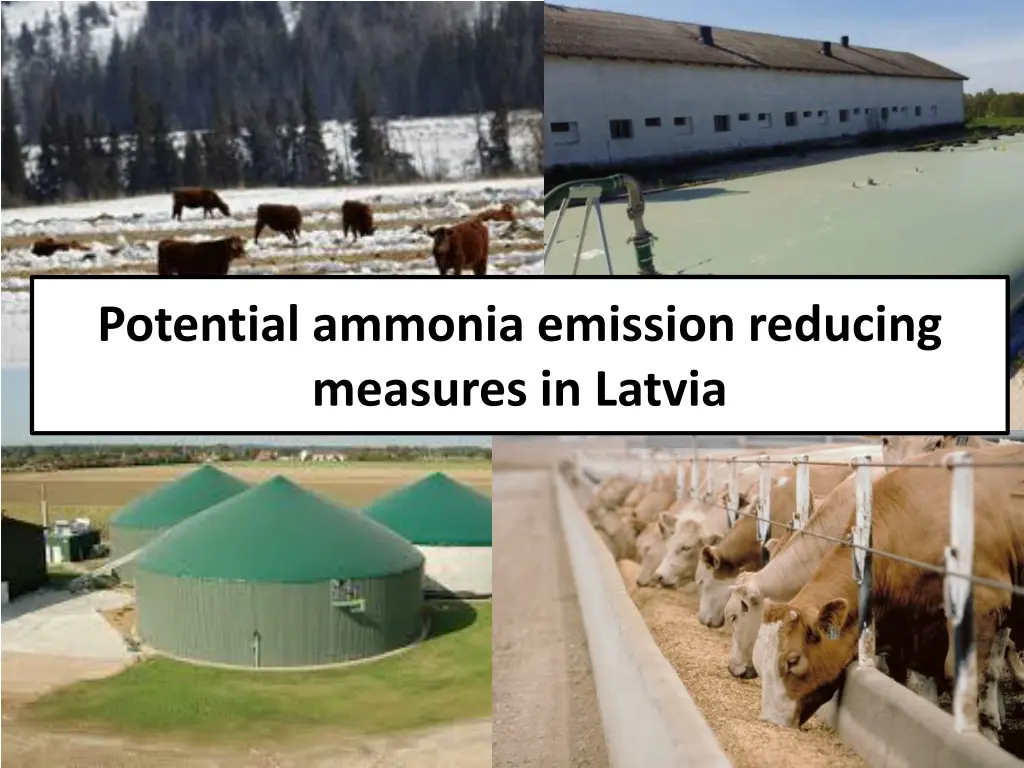 potential ammonia emission reducing measures