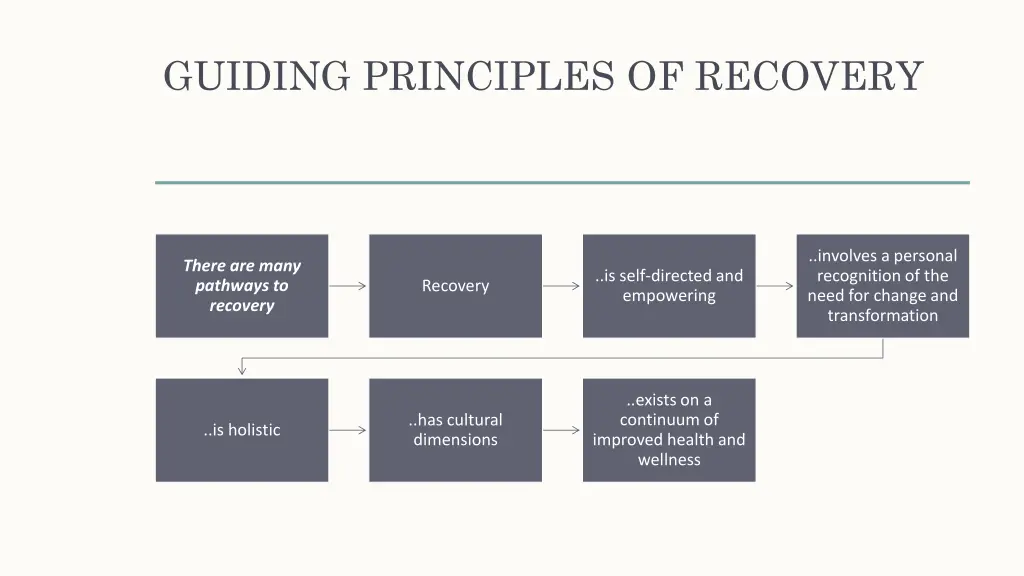 guiding principles of recovery