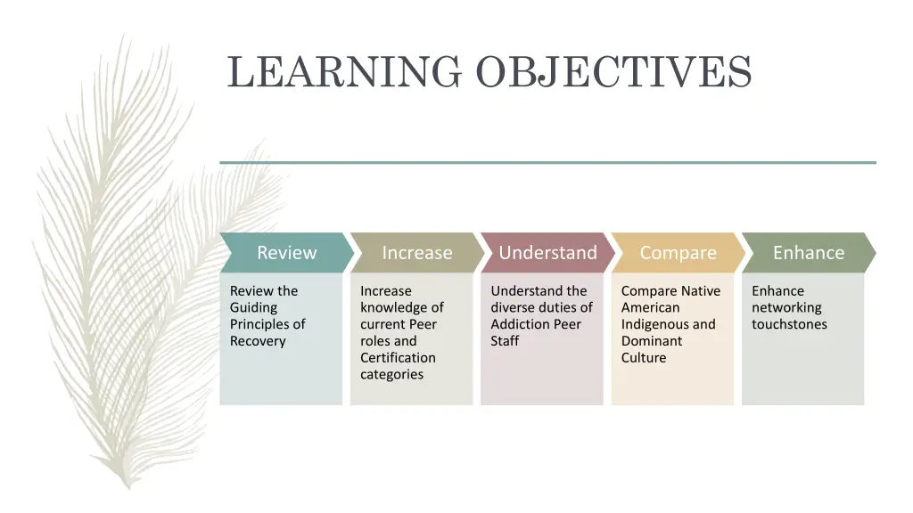 learning objectives