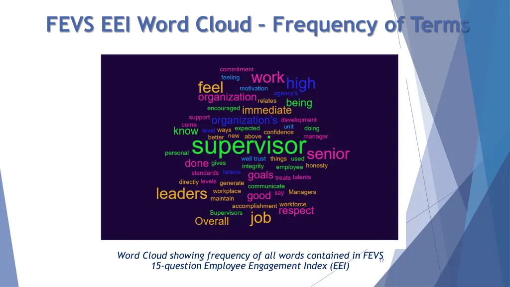 fevs eei word cloud frequency of terms