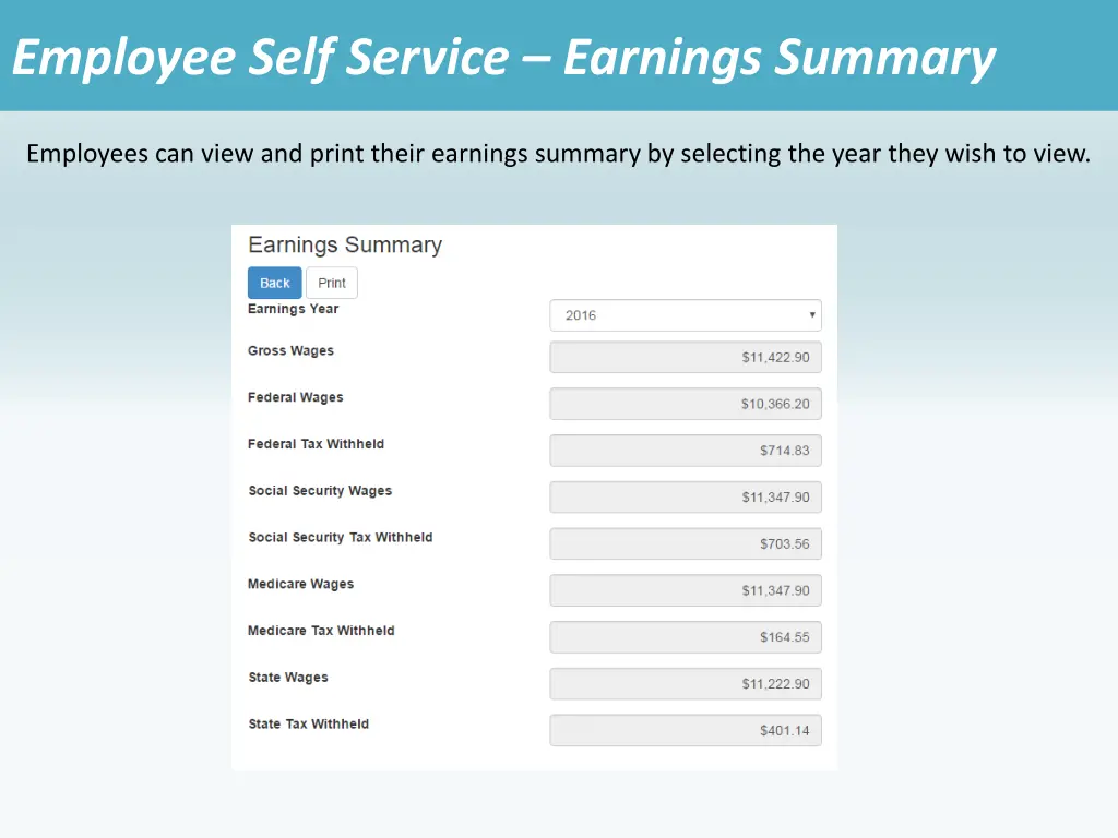 employee self service earnings summary