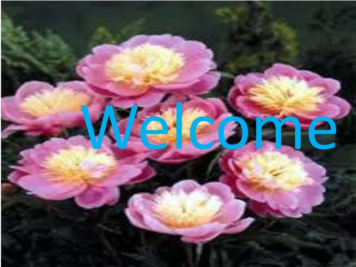 welcome