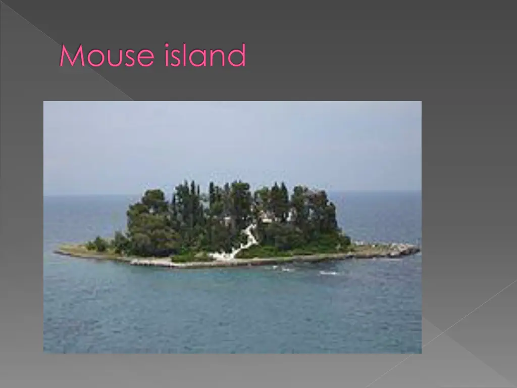 mouse island 1