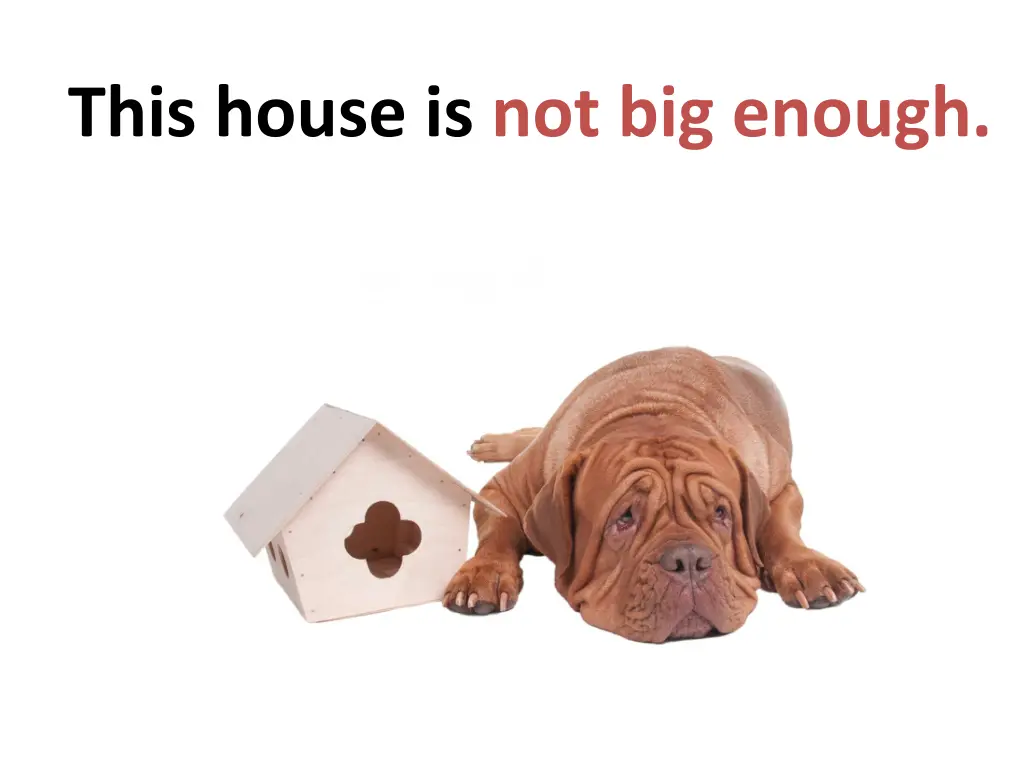 this house is not big enough