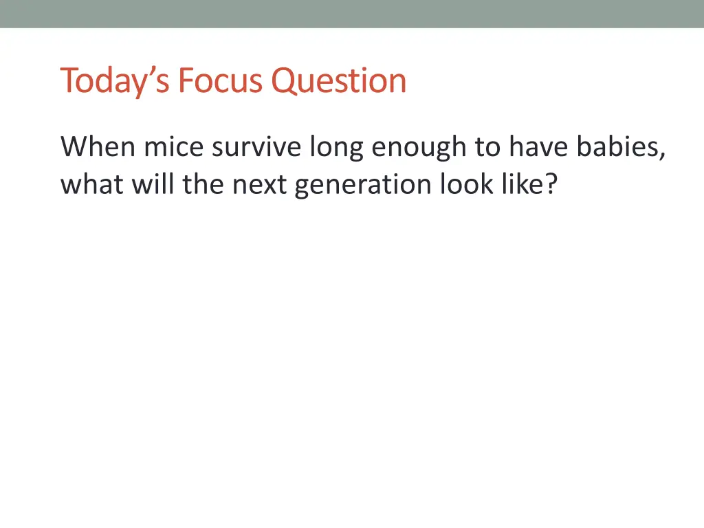 today s focus question