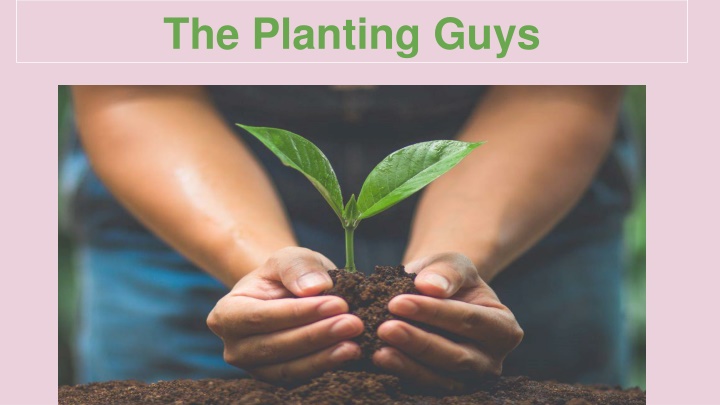 the planting guys