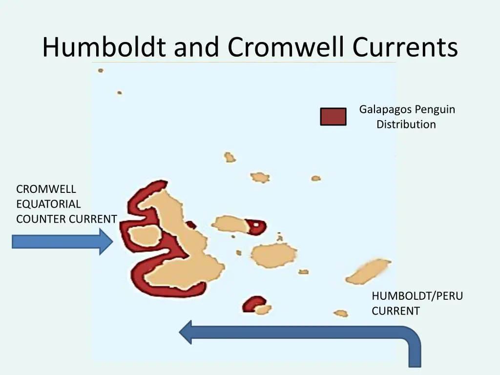 humboldt and cromwell currents 1