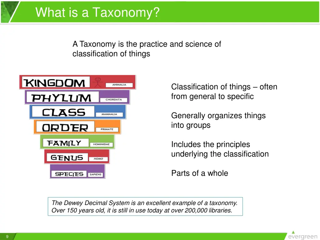 what is a taxonomy