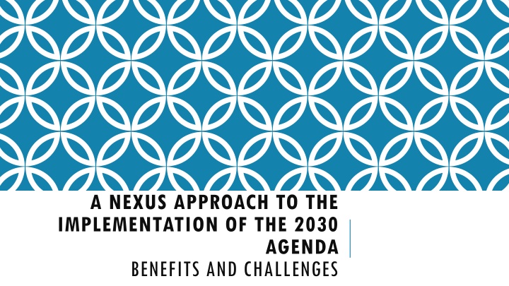 a nexus approach to the implementation of the 2030