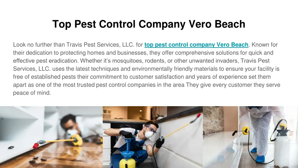 top pest control company vero beach